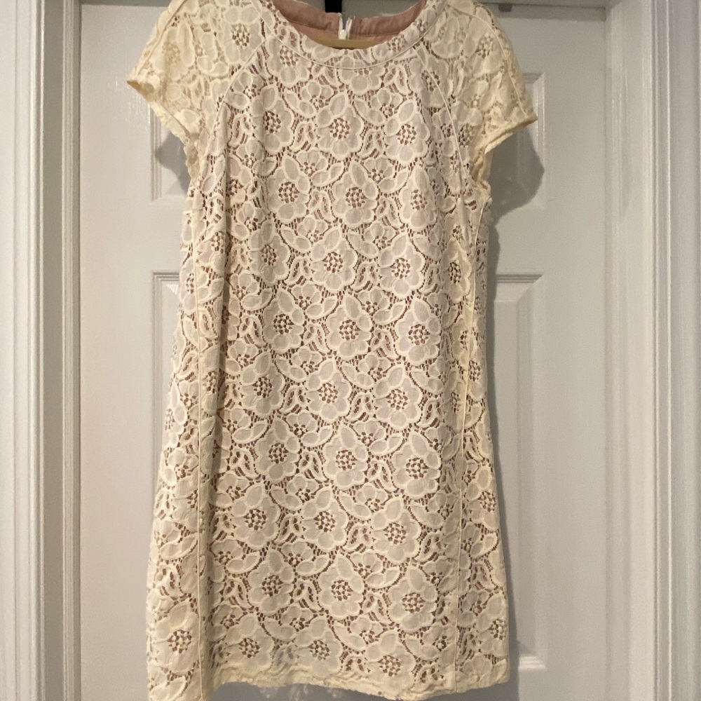 LOFT Cream Floral Lace Mini Dress